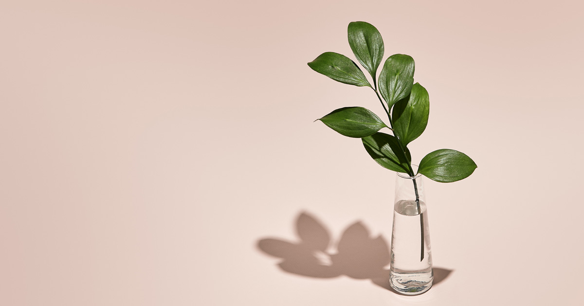 シンプルさをデザインで表現するには 約4億点のストックコンテンツから紐とく ミニマリスト のトレンド 企業で働くクリエイター向けウェブマガジン Creatorzine クリエイタージン